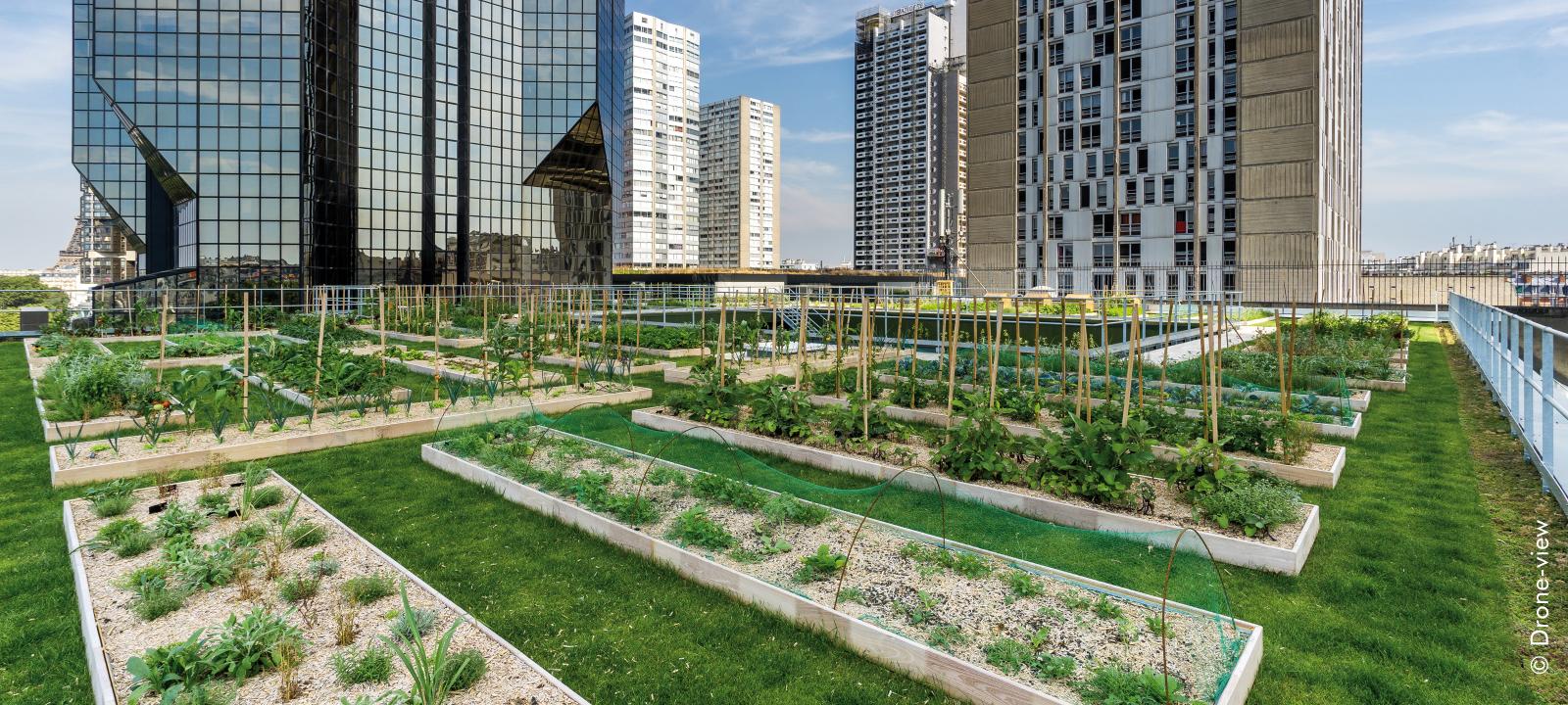 Overseas